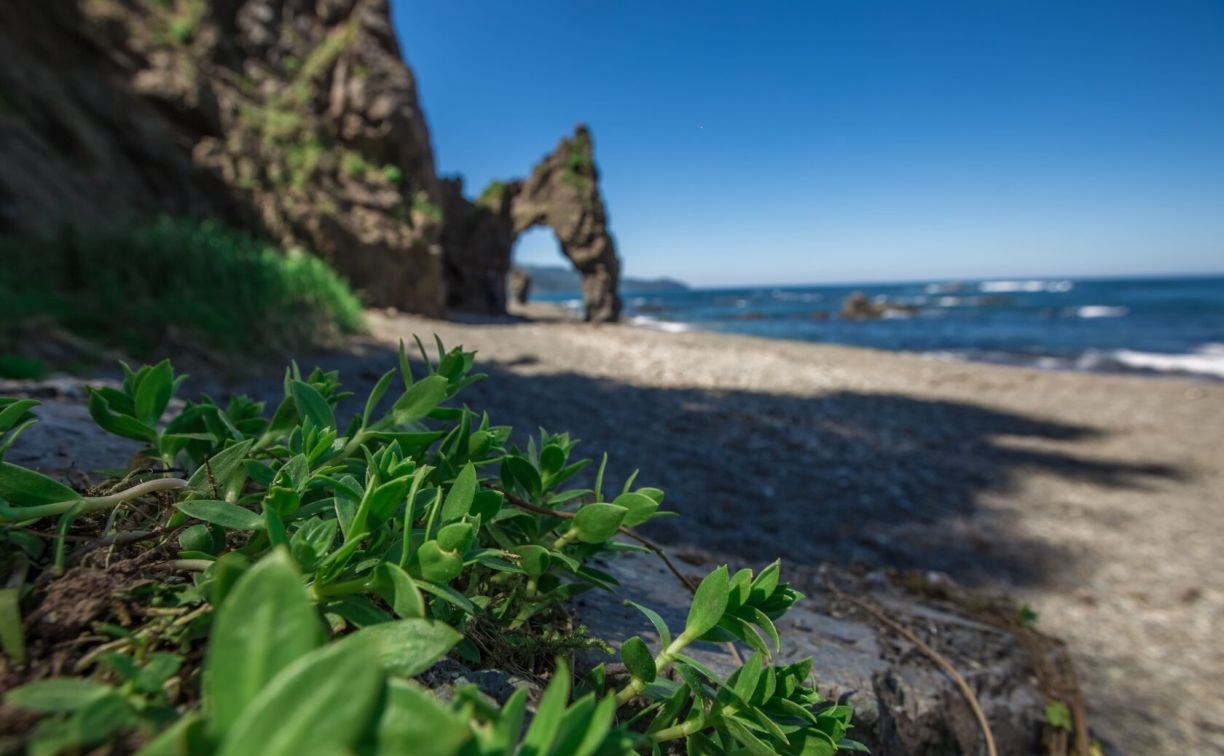 Ростуризм презентовал сахалинский маршрут с каменными арками и хемультаном на берегу моря