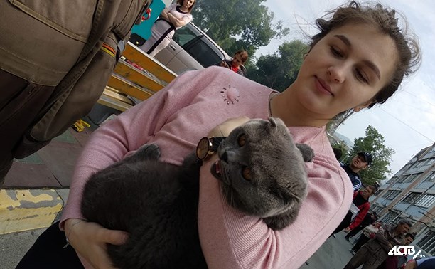 Из горевшего в центре Южно-Сахалинска дома спасли двух котов Из горевшего в центре Южно-Сахалинска дома спасли двух котов