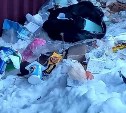 Дворник в Углегорске провел детективное расследование и вычислил, кто не доносит мусор до баков