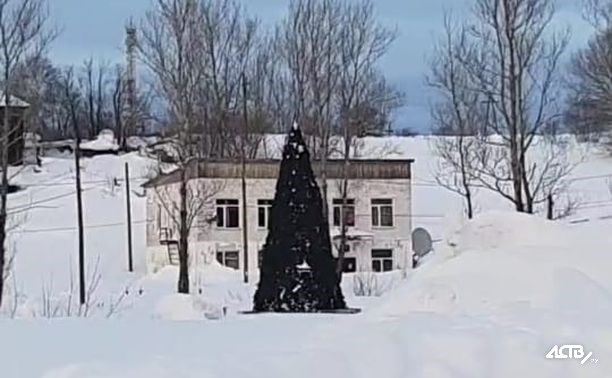 Убрать новогоднюю ель в селе на Сахалине не смогли ни администрация, ни ураганный ветер