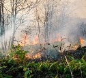 Крупный пожар в центральной части Сахалина: огонь уничтожил 35 гектаров растений