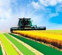 В этом году Россельхозбанк выдал корпоративным клиентам для полевых работ 108 млрд рублей