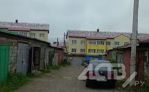 Жители Южно-Курильска устали смотреть на крыши, облепленные чайками и экскрементами