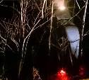 Toyota Hilux Surf залетел на дерево на Охотской трассе