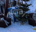 Придумай название фото: собаки в Южно-Сахалинске отдыхают в креслах на помойке