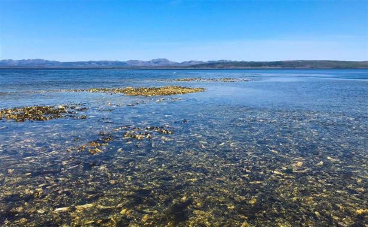 Новые арендаторы Буссе организовали круглосуточное дежурство ЧОПовцев на озере 