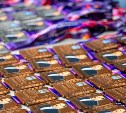 На Сахалине завершился дальневосточный турнир по вольной борьбе
