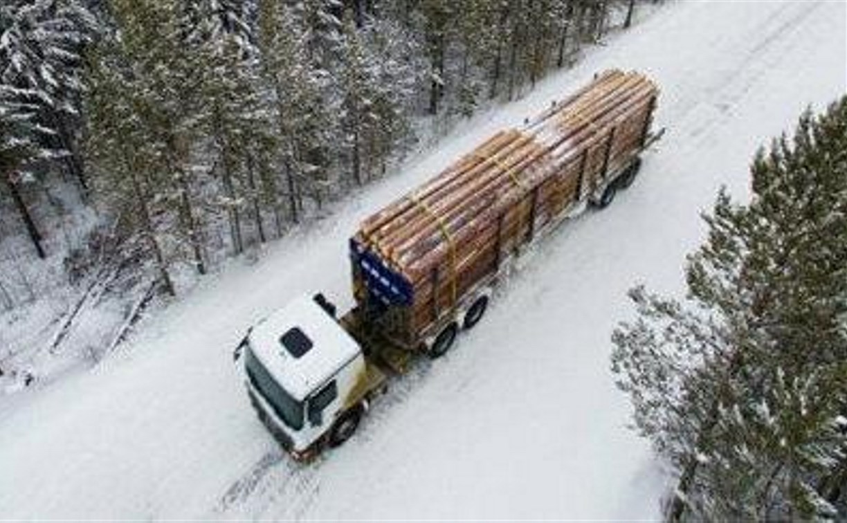 Лесовозы начнут контролировать из космоса 