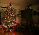  Новогодних елок на Сахалине заготовят больше, чем в прошлом году