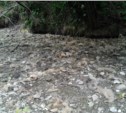 «Скотобойня» на реке Вахрушевке должна стать поводом для проверки (ФОТО)