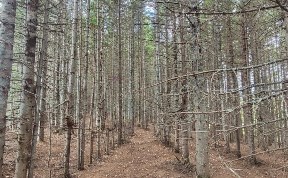Происшествия