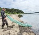 У сахалинских браконьеров изъяли 153 килограмма икры