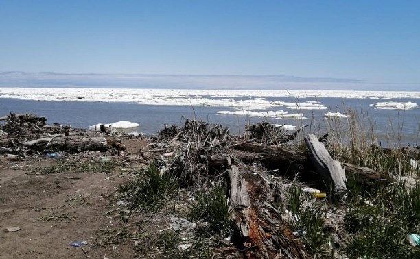 Лёд пригнало к восточному побережью Сахалина в конце мая