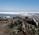 Лёд пригнало к восточному побережью Сахалина в конце мая