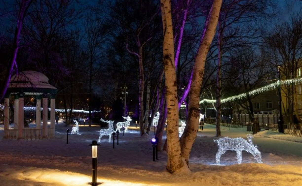 "Немалые деньги вложены": жители Южно-Сахалинска заметили проблемы с праздничной иллюминацией