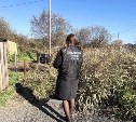 Тело мужчины нашли в канаве в Углегорске 