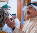 Королю Бахрейна подарили двух камчатских кречетов