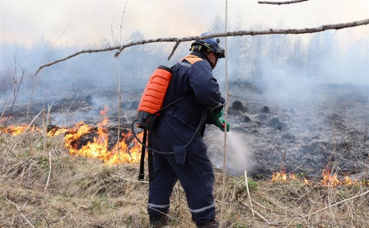 Горящую траву тушили пожарные в Макарове и Томари