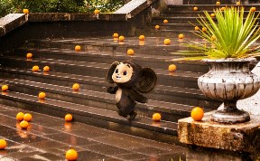 Политика и экономика