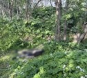 Тело мужчины нашли недалеко от остановки "Кинопрокат" в Южно-Сахалинске 