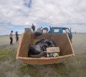Сахалиснкие добровольцы вывезли с Тунайчи 28 мешков мусора