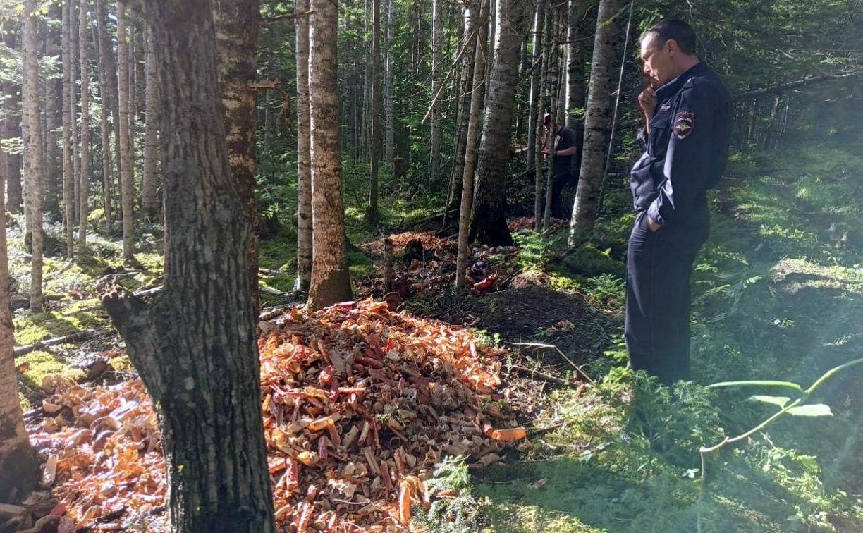 Лесничие на Сахалине рядом со зловонной свалкой крабовых отходов обнаружили ещё одну 