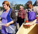 Более 40 тонн кеты продали на Сахалине с начала сентября