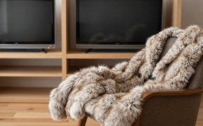 Происшествия