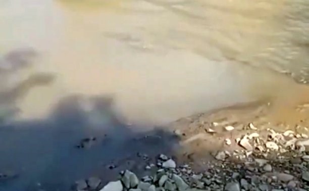 В сети появилось видео ужасающего состояния реки Борисовки