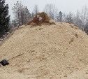 На Сахалине заложили в снежники семена хвойных деревьев 