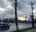 Провайдерам грозят штрафы за кабели связи на деревьях вдоль Компроспекта в Южно-Сахалинске