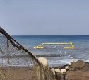 В Углегорском районе рыбопромышленников накажут за незаконное размещение станов и выезд техники на побережье