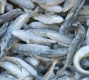 Ловите, пока не уплыла: свежую рыбу предлагают купить южносахалинцам