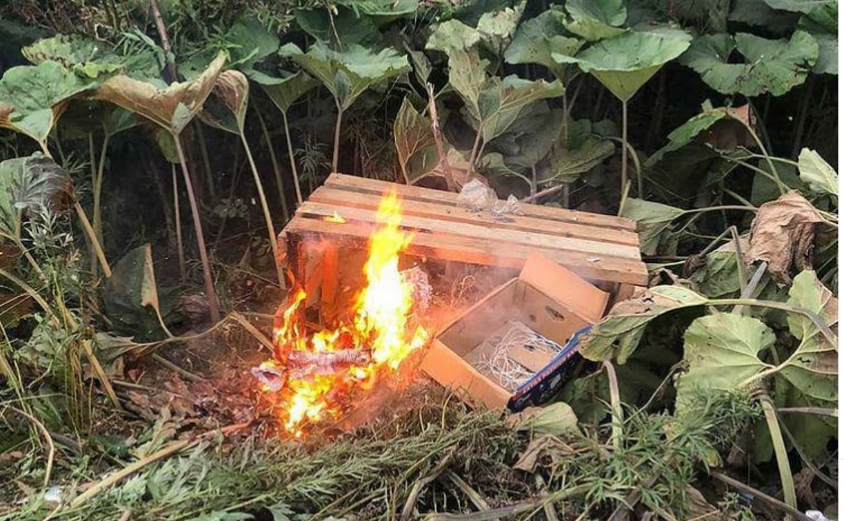 На выезде из Южно-Сахалинска неизвестные выбросили стол с коробками в лопух и подожгли 