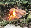 На выезде из Южно-Сахалинска неизвестные выбросили стол с коробками в лопух и подожгли 