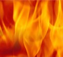 Две бани и три хозпостройки сгорели за ночь в СНТ "Локомотив"