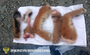 Общество