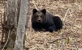 Общество