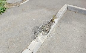 Общество