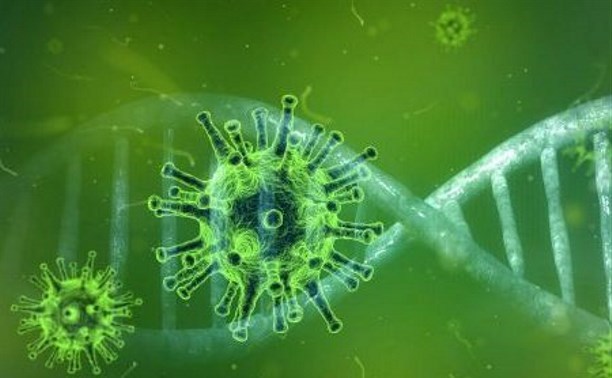Результаты анализов троих сахалинцев на коронавирус пока неизвестны 