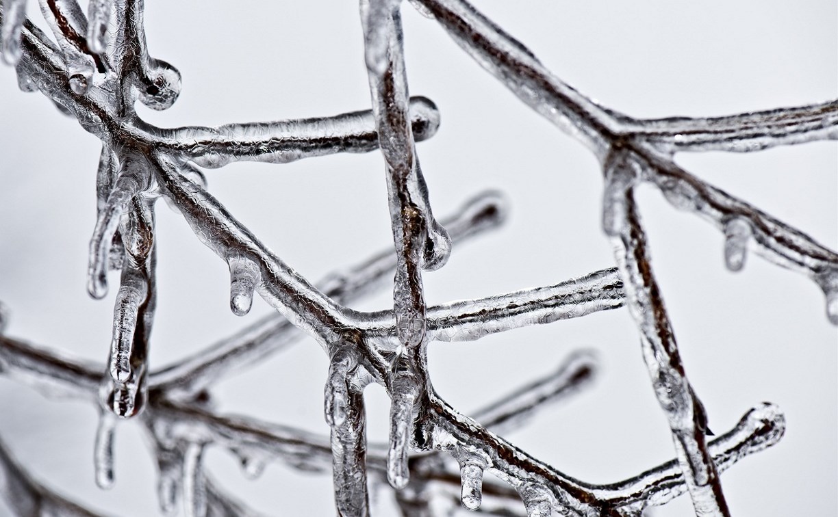 Пасмурно, холодно и немного снежно будет в Сахалинской области 24 февраля