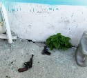 "Покушение на убийство": пенсионер в Пятиречье  пытался выстрелить в голову земляку, но не попал