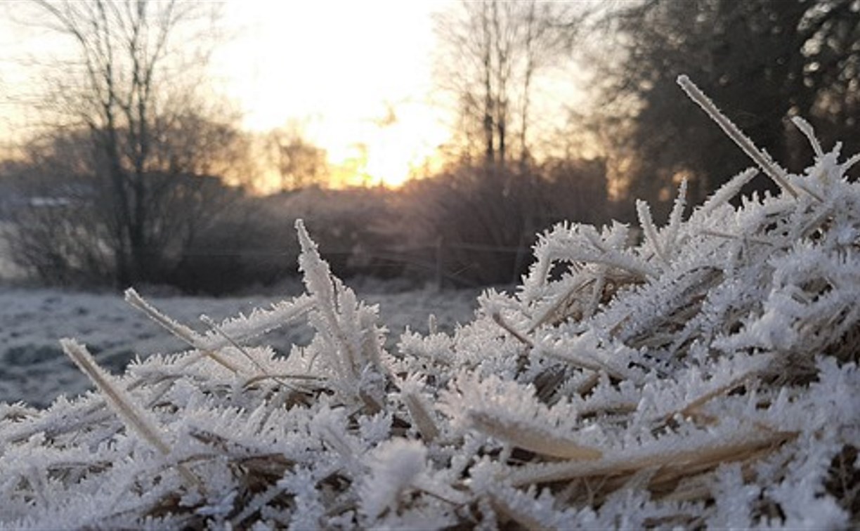 Где-то минус 37°C, а где-то 0°C: какая погода будет 6 января во всех районах Сахалинской области
