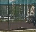 Сахалинские следователи проводят проверку по факту избиения ребёнка на детской площадке