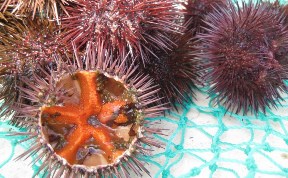 Происшествия