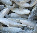 Сахалинцам предлагают свежую рыбу по доступной цене