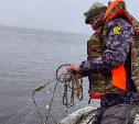 Выявили более 100 нарушений: результаты работы рыбоохраны на Сахалине