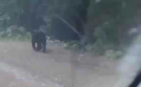 Общество
