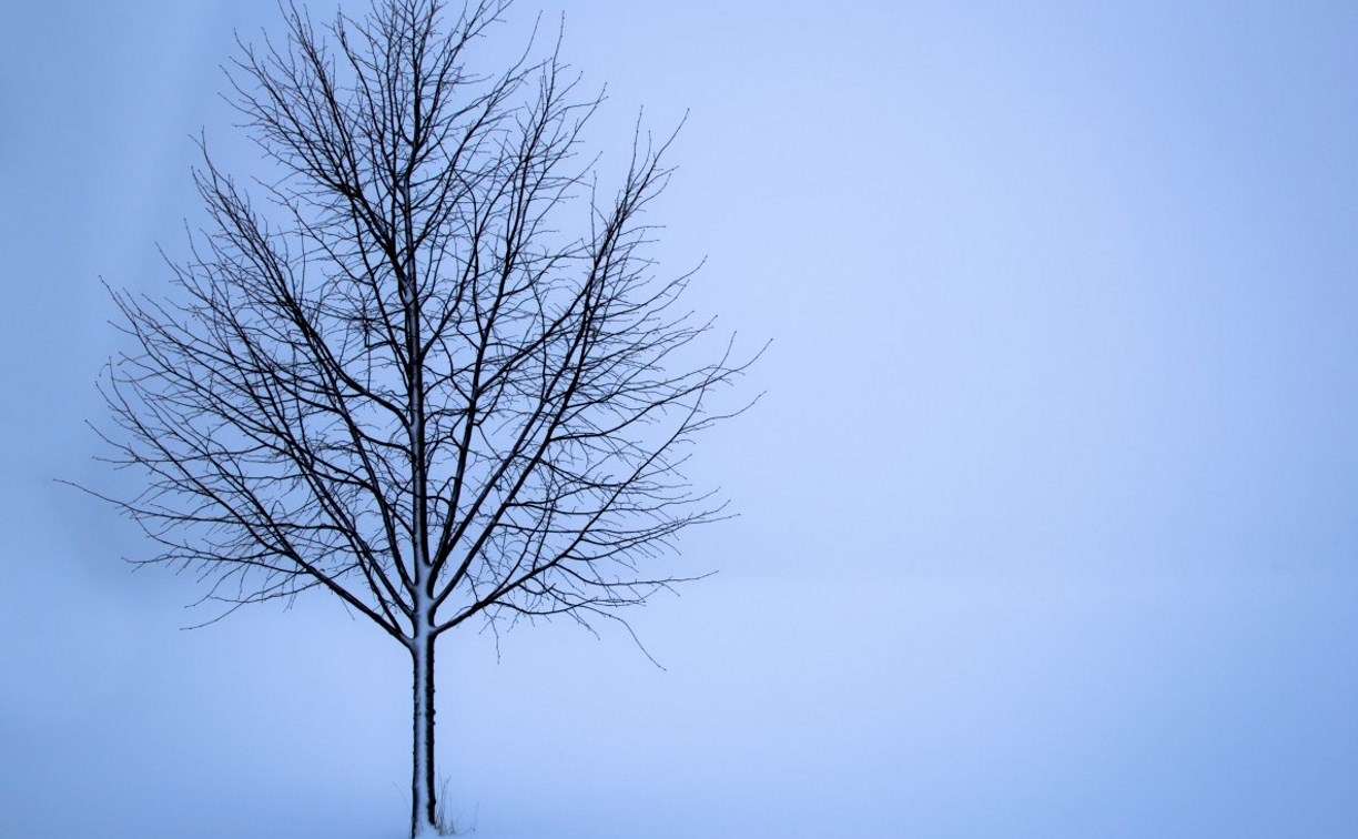 Местами снежно, облачно: какой будет погода на Сахалине и Курилах 20 февраля