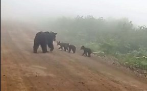 Общество